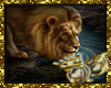 QT~Fierce Lion Frame
