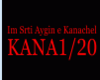 Song-Im Srti Aygin e Kan