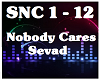 Noboby Cares- Sevad