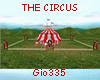 [Gi]THE CIRCUS
