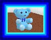 ~{H}~ Blue Teddy