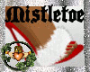 ~QI~Mistletoe Slippers R