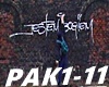 Krs*PAK1-11