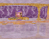 new purple and gold room