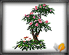 Tree-1