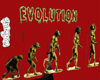 EVOLUTION of man
