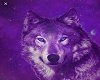 purle wolf dream