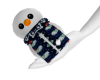 Christmas Snowman-B
