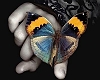 BUTTERFLY - animated