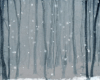 Winter Woods Background