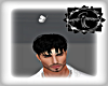 DW ANI BUTTERFLY F HEAD