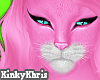 Pink Kitty - Mesh Head