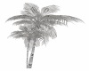 Dev Double Palmtree