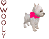 Westie puppy w bow pink