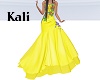 Miss Brazil Gown