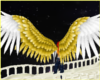 Male's Angel wings