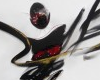 *Eve* hasu