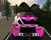 Pink Diva's Ride