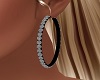Lg. Diamond Hoop Earring