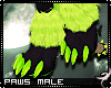 !F:Ory:Paws Male