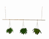 Hanging Planter
