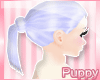 [Pup] Ponytail Cloudy
