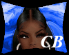 CB- Willow Ombre R/B