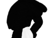 𝗌 Fur