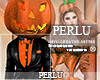 [P]Pumpkin BUNDLE |M
