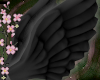 ! angel wings black <33