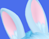 Bun Ears ~