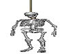animated skeleton