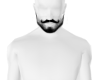 beard 1