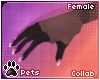 [Pets] Ailva | claws