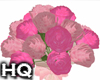Valentine Roses