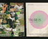 ² Taurus Aesthetic