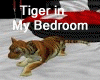 Tiger in My BedRoom
