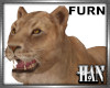 [H]Lionesse ► Furn