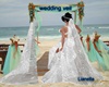 wedding white veils