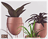 K| Queen's Lair (Plants)