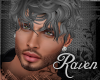 *R* Joey Silver