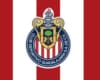 chivas