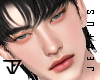 âLeon MH v2