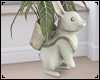 Bunny vase plant