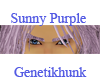 Sunny Purple Eyebrows
