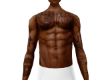 skin + tats v2