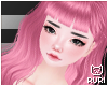 ▶ Cupcake Reoriea