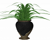 Vase Plant A6