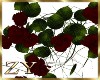 ZY: Rose Vines