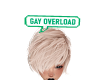 GAY OVERLOAD head sign